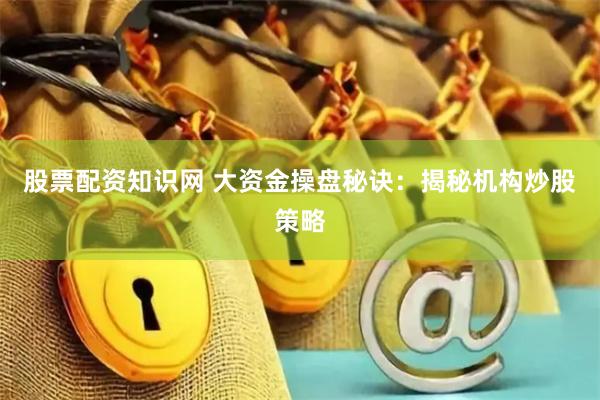 股票配资知识网 大资金操盘秘诀：揭秘机构炒股策略